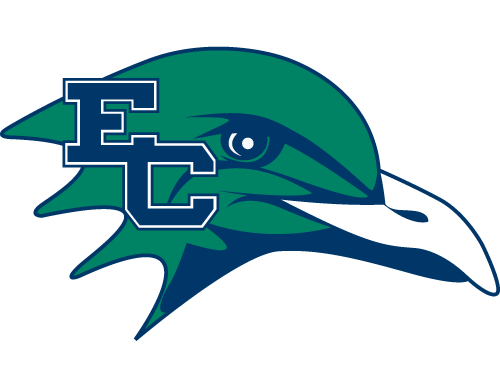 ENDICOTT COLLEGE Logo