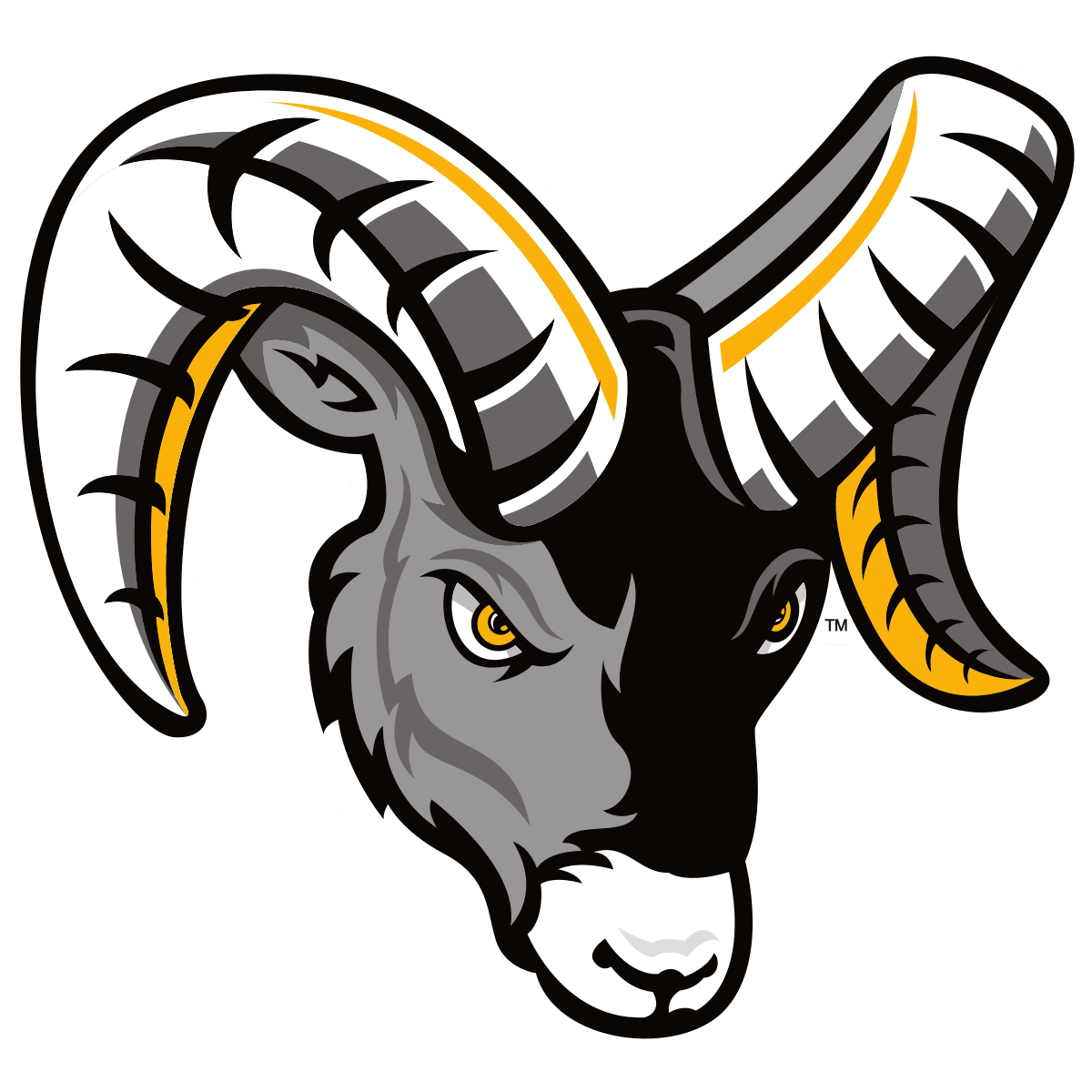 FRAMINGHAM STATE UNIVERSITY Logo