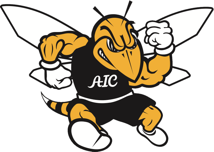AMERICAN INTERNATIONAL COLLEGE Logo