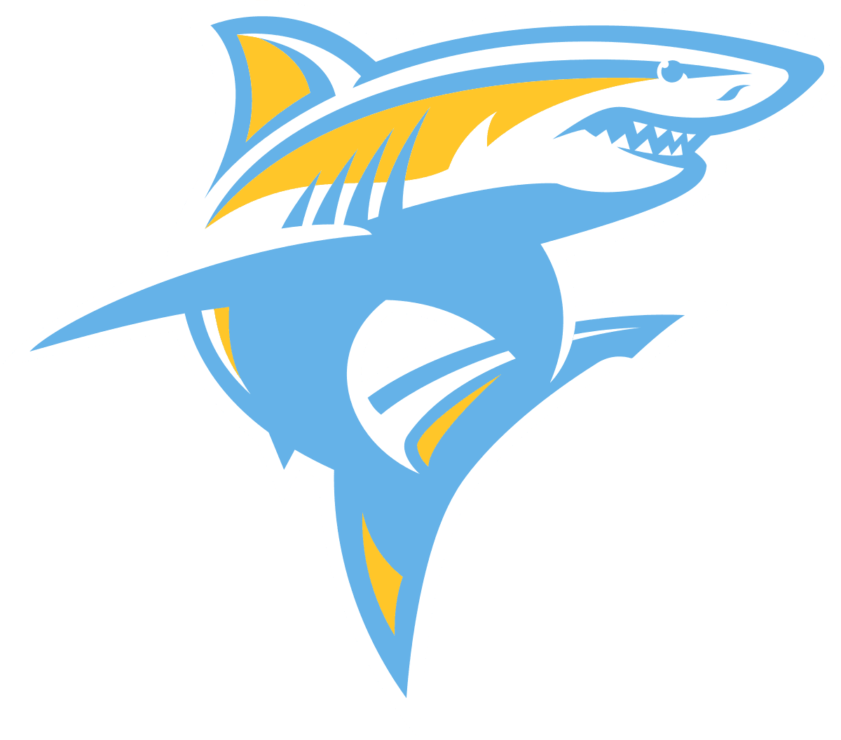 LONG ISLAND UNIVERSITY Logo