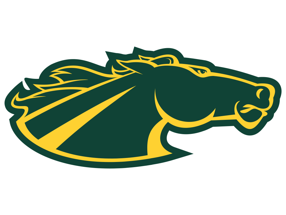 SKIDMORE COLLEGE Logo