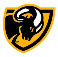 VIRGINIA COMMONWEALTH UNIVERSITY Logo