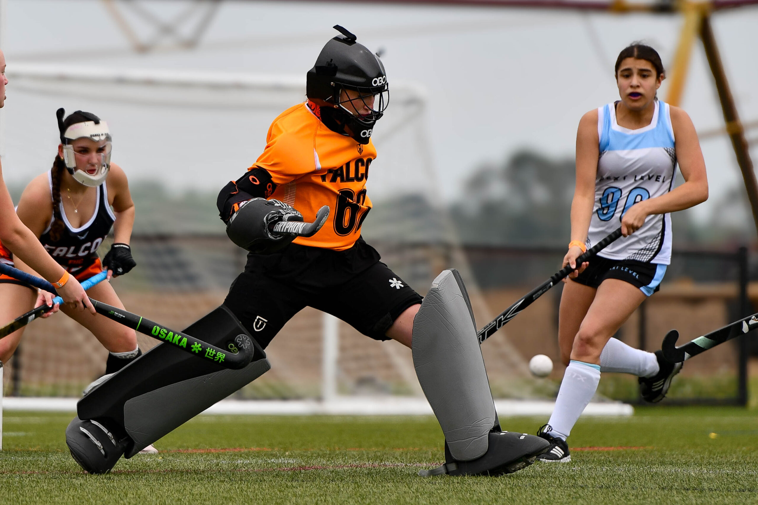 54485031298_5940628a3c_o